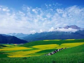 一片荒芜， 我的眼中只有沙沙