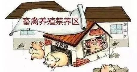 畜牧养殖，严守防疫、饲料、环境、品种等关键环节
