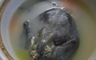 乌鸡营养丰富，怎么做既美味又健康