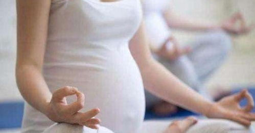 母蝎妊娠期间需预防流产病，确保幼蝎健康发育