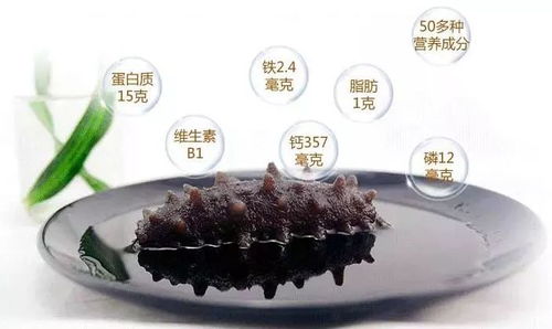 冬至吃海参，真的大补吗