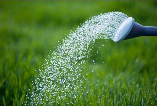 农药化肥植物生长调节剂混用要注意