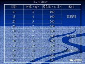 猪平均每天吃多少饲料？猪饲料配方表中的玉米比例是多少？