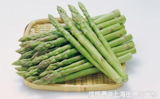 芦笋适合在哪些地区和温度下生长？