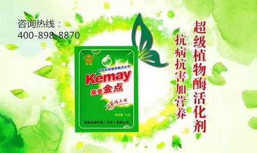 如何用药防治叶霉病？