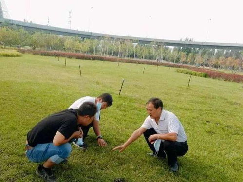 园林养护管理的艺术与科学