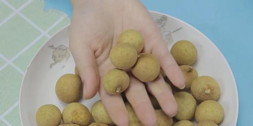 龙眼≠桂圆？它们究竟有何不同