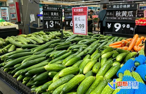 黄瓜价格下跌超过10%，市场供应过剩