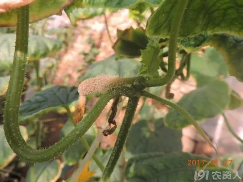 用药也要讲究方法