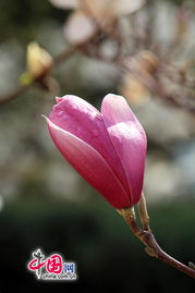 土壤：松软的土壤是基础