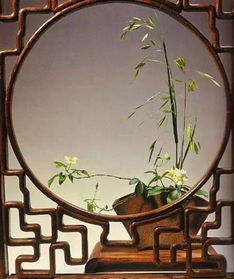 线条， 是自然的诗篇