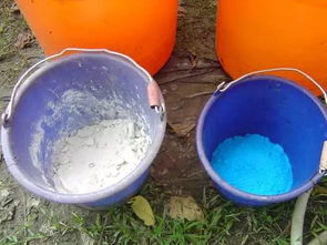 波尔多液使用间隔时间大揭秘