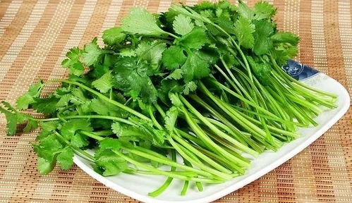 香菜：香香的， 抗寒又快长