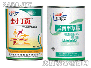 知名品牌，了解一下