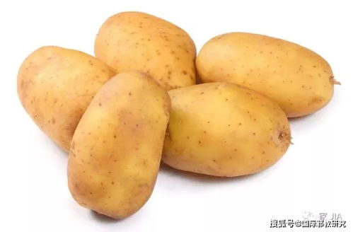 土豆农药残留的真相