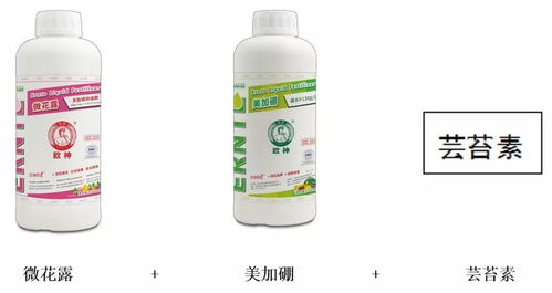 丙环唑：柑橘的保护神还是隐患源？