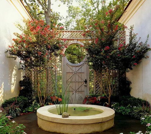 经典搭配方案：对比三种花期衔接效果