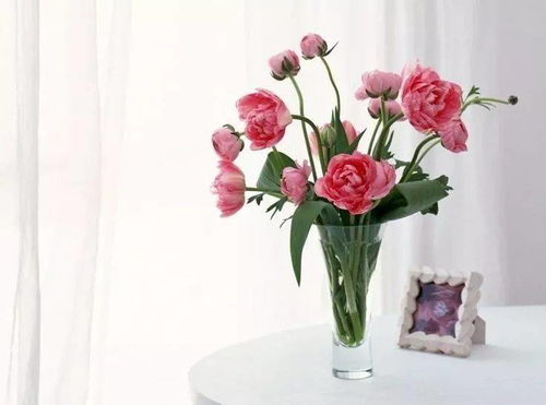 药用花卉的平安使用