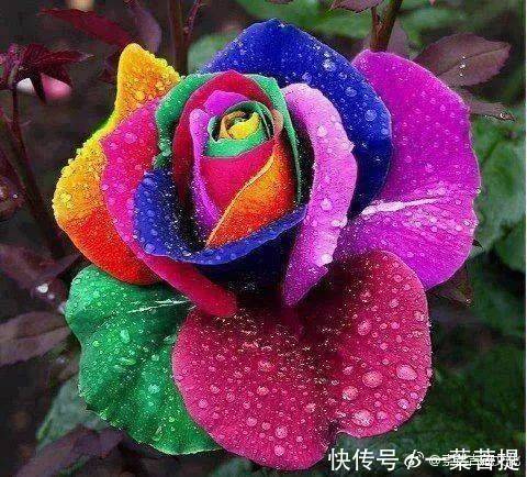 浸泡晾晒， 种子的阳光浴