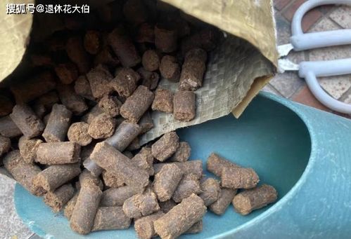 种什么菜放鸡粪肥料最香？