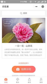 植物识别界的“大腕”：形色与花伴侣