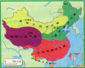盲目跟风买网红植物