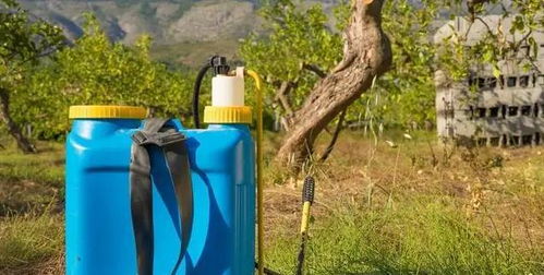 除草剂喷施时的注意事项