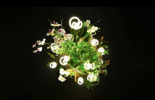 探究浇水要浇根部，如何确保植物吸收更充分