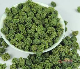 三七花种植技术的重要性