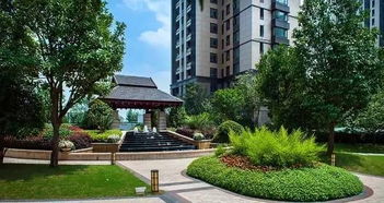 行业标准：探索的指南针