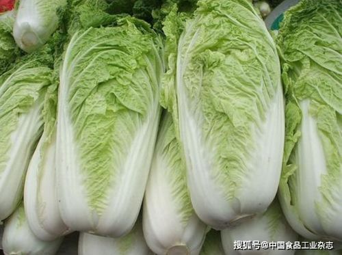 白菜开花后是否安全食用，如何处理开花白菜