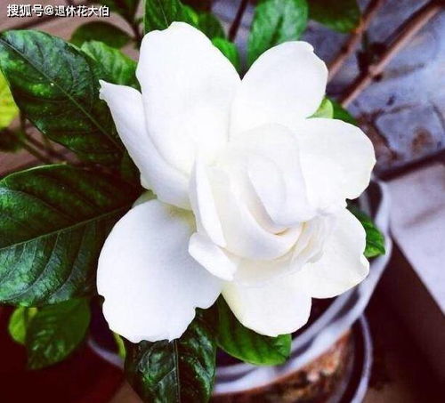 温度， 保持在15°C-28°C之间