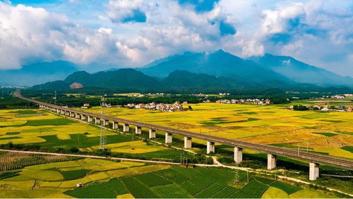 葛根喜温暖湿润气候，多生长于海拔500米以下的低山丘陵地带