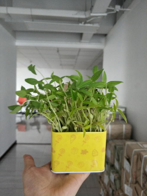 简单粗暴：种花不是搞科研