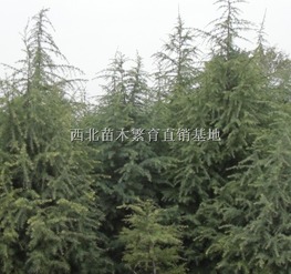 价格，到底是个啥玩意儿？