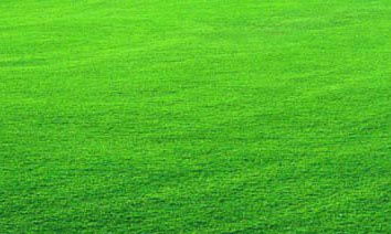 环境友好，用药要讲究