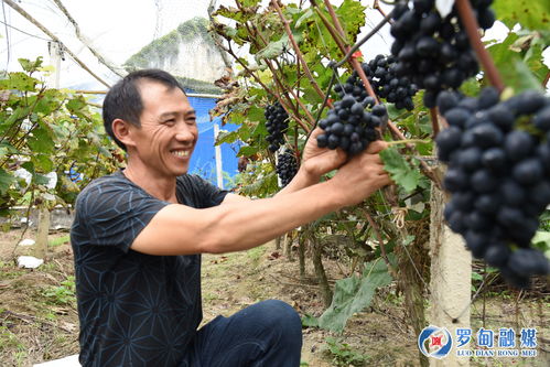 干旱地带生存秘籍，你学会了吗？