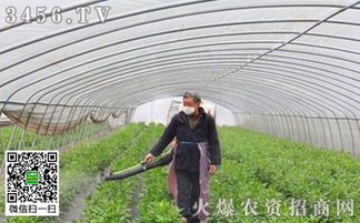 使用除草剂， 注意事项多