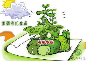 农田里的老鼠，烦人的家伙