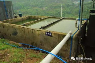 猪场废弃物处理不当危害严重，环保处理措施为何还刻不容缓？