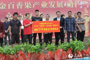 方城县券桥镇的苗木产业：大户带小户