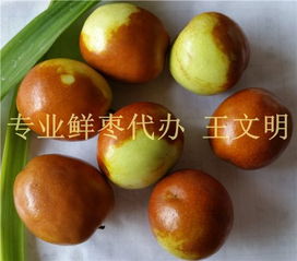 猴头菇价格波动，一斤多少钱取决于产地、品质和季节