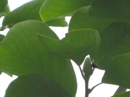 嘉兴王师傅的血泪教训