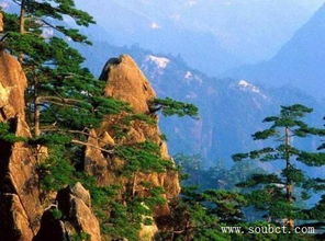 中国十大名山最新排名图片中，泰山、华山分别位列第几？