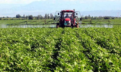 乙草胺：地表的守护者