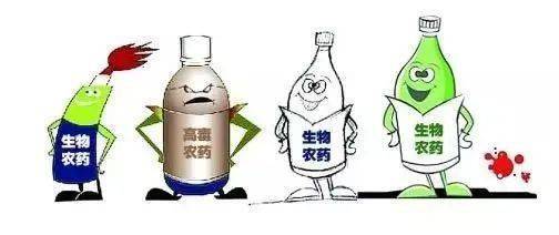 突发情况处理方案