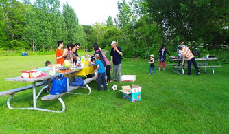 草地里的秘密：小动物的家