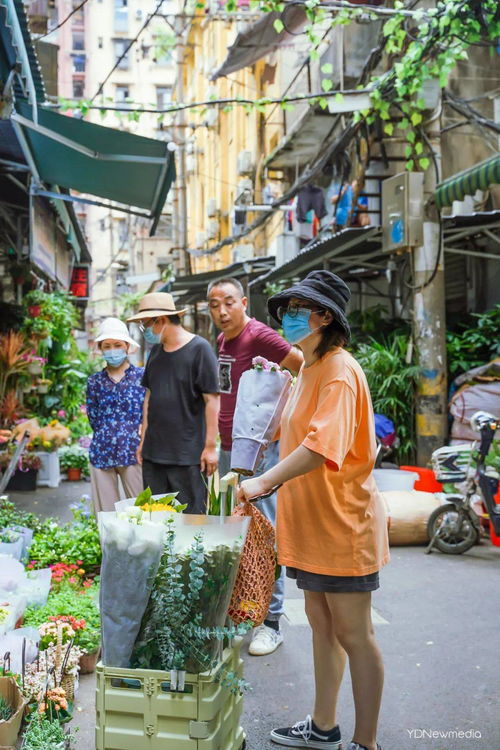 广州岭南市场， 龟背竹变热带雨林