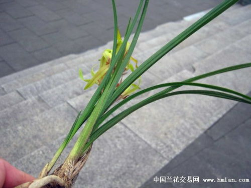 忒别提醒：这可是在自媒体平台上堪到的哦