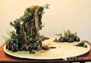 同样的山石，价格为何不同？